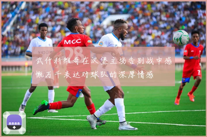 武什科维奇在汉堡主场告别战中感慨万千表达对球队的深厚情感