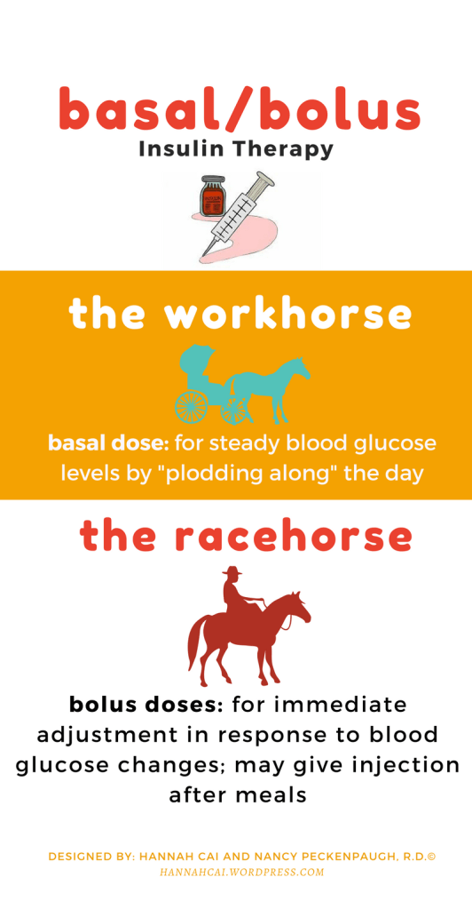 BasalBolus Infographic Version II