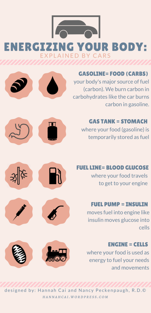 Insulin - Car Analogy